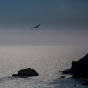 2012-05-16_16-10_00448_WTA_5DM3