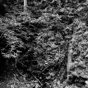 WTA_IMG_2012_05_16 - 0103-Edit-2