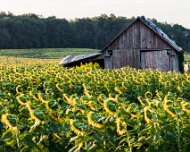 2015-08-22_76084_WTA_5DSR