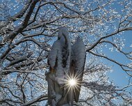 2015-11-22_83934_WTA_5DSR Elmwood Cemetery, Detroit, Michigan