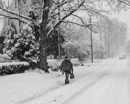 Detroit Snow Detroit Snow