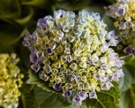 2017-05-13_114956_WTA_5DM4 Eastern Market