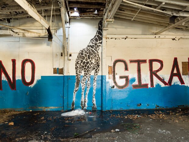 Detroit Animal Art Museum