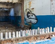 2014-03-09_08-37_08178_WTA_5DM3 The Detroit Museum of Animal Art