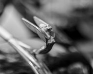 2023-06-17_173129_WTA_R5 Henry Ford Motor Muster