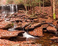 Waterfall Ricketts Glen State Park, Luzerne, Sullivan, and Columbia counties, Pennsylvania