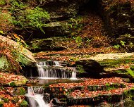 2020-10-23_00999_WTA_R5 Ricketts Glen State Park, Luzerne, Sullivan, and Columbia counties, Pennsylvania
