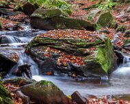 Waterfall Ricketts Glen State Park, Luzerne, Sullivan, and Columbia counties, Pennsylvania
