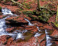 2020-10-23_01230_WTA_R5 Ricketts Glen State Park, Luzerne, Sullivan, and Columbia counties, Pennsylvania