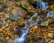 2018-11-03_56682_WTA_5DM4-Edit Woodland Waterfall