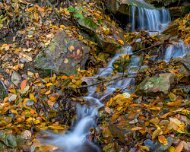 2018-11-03_56682_WTA_5DM4 Woodland Waterfall