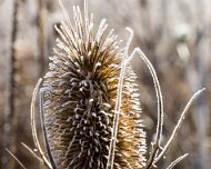 2018-11-04_56827_WTA_5DM4