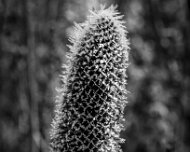 2018-11-04_56891_WTA_5DM4