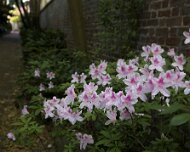 2022-04-02_055097_WTA_R5 Charleston, SC