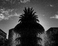 2016-04-10_17711_WTA_5DSR South Carolina