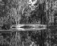 2016-04-11_18305_WTA_5DSR South Carolina