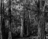 2016-04-11_18583_WTA_5DSR South Carolina