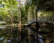 2016-04-11_18674_WTA_5DSR South Carolina