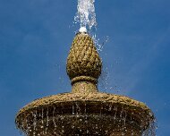 2023-05-08_185514_WTA_R5 The Memphis Botanic Garden has a rich history dating back to its establishment in 1953. It all began when a group of horticulturists and nature enthusiasts came...