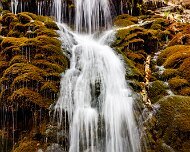 2022-04-07_051559_WTA_R5 Charleston Day 8