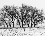 2024-04-17_367398_WTA_R5 2024 Road Trip - Day 16 Kayce, Wyoming